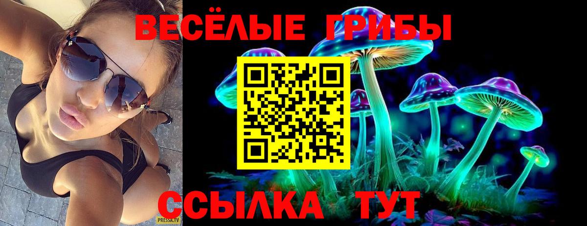Галлюциногенные грибы мицелий Выборг