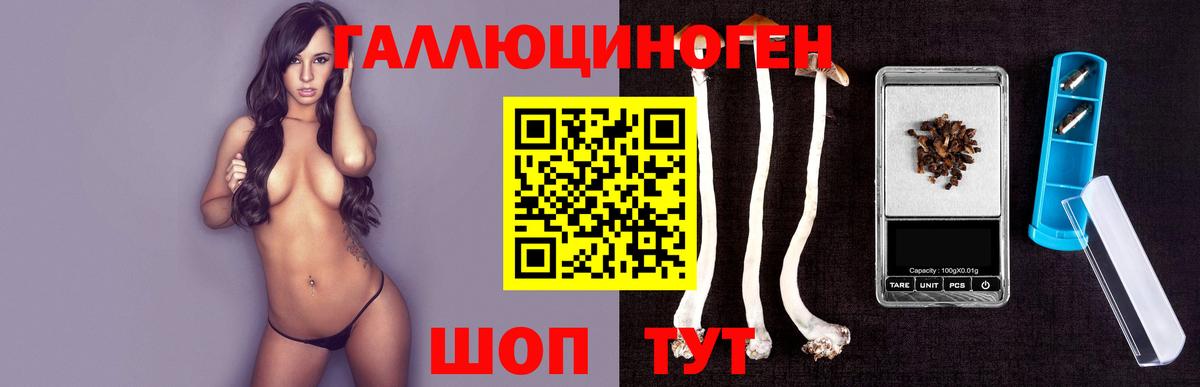 Псилоцибиновые грибы GOLDEN TEACHER  Вход с VPN  Выборг 
